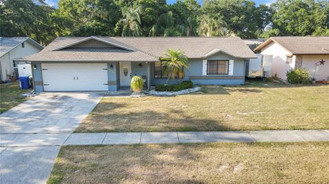 Single Family Residence in CLEARWATER FL 2172 BRIARWAY DRIVE.jpg