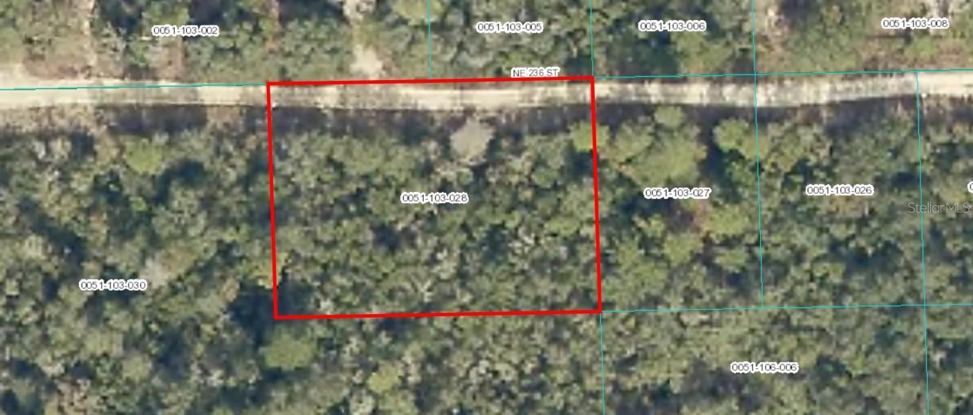 Looking for land with peace, privacy, and potential? This wooded lot on NE 236th St is ready for your vision—whether you're planning to build, camp, or hold as an investment! The best priced .43 acre piece of residential vacant land to create your own custom home in the Ocala National Forest subdivision. Zoned R-4 allowing you different options to either build a home, or place a mobile home or modular home on the property. Close to Ocala, Gainesville, Ocala National Forest, lakes and springs. NO HOA, bring your toys and enjoy the beautiful nature views!