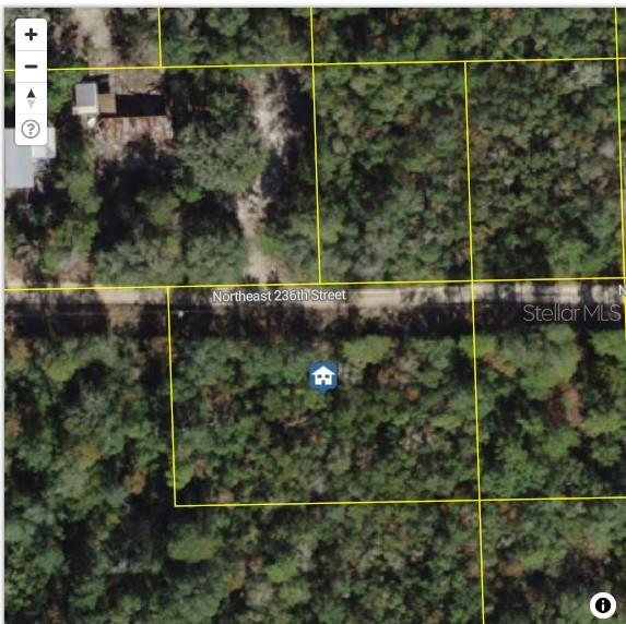 OCALA NATIONAL FOREST CAMPSITES - Land