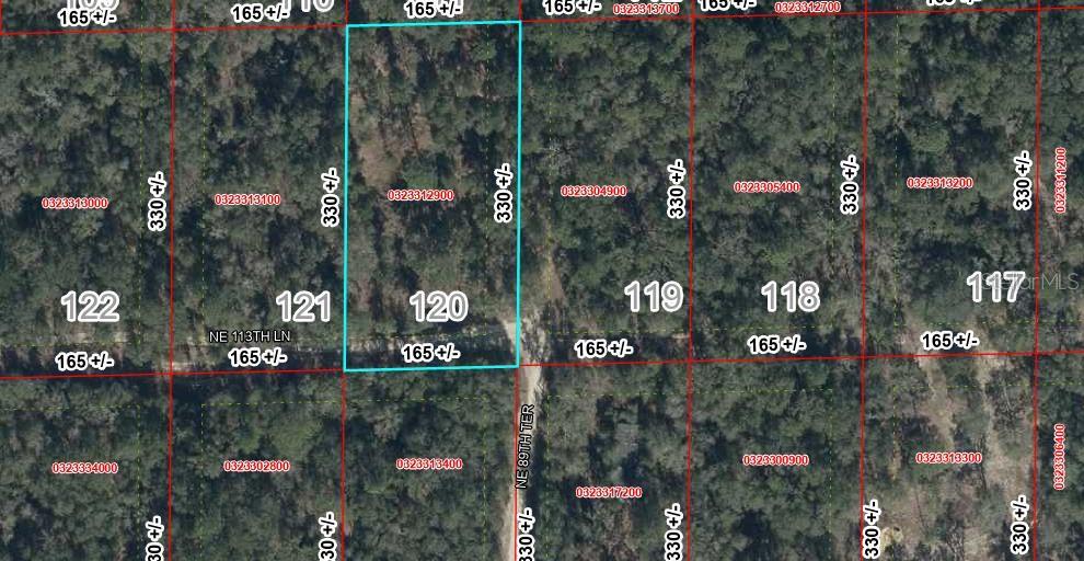 Photo of 120 NE 113th Ln, Bronson, FL 32621 (MLS # GC542635)