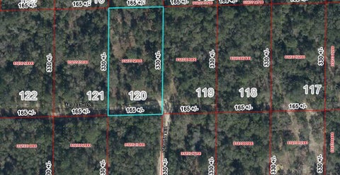 Photo of 120 NE 113th Ln, Bronson, FL 32621 (MLS # GC542635)