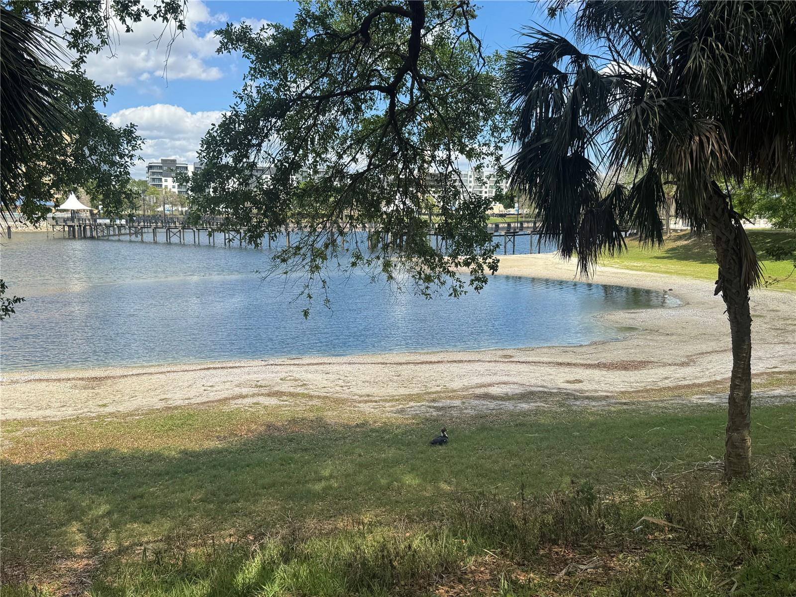 WATERSIDE AT CRANES ROOST A CONDO COMMUNITY - Residential