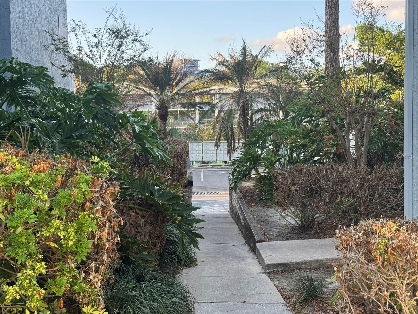 WATERSIDE AT CRANES ROOST A CONDO COMMUNITY - Residential