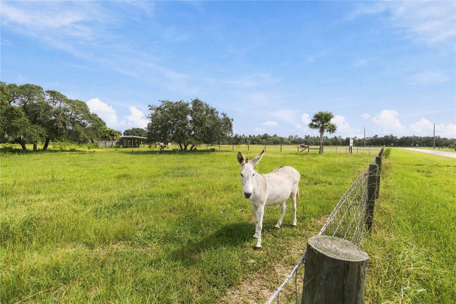 RANCH ROAD