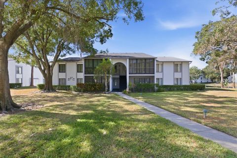 Photo of 1243 Pine Ridge Circle W #D2, Tarpon Springs, FL 34688 (MLS # TB8447276)