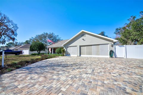 A home in SPRING HILL