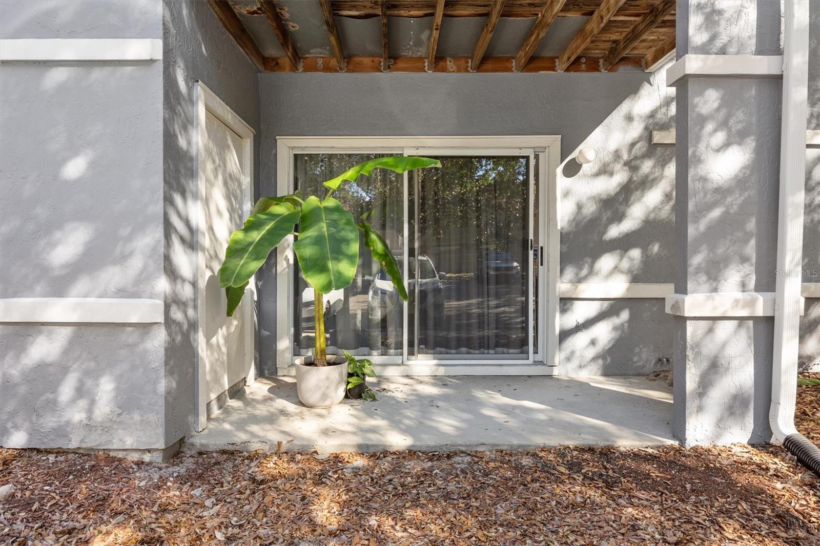 WINDSOR PARK AT GAINESVIL - Residential