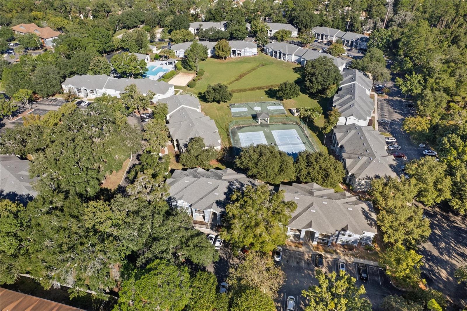 WINDSOR PARK AT GAINESVIL - Residential