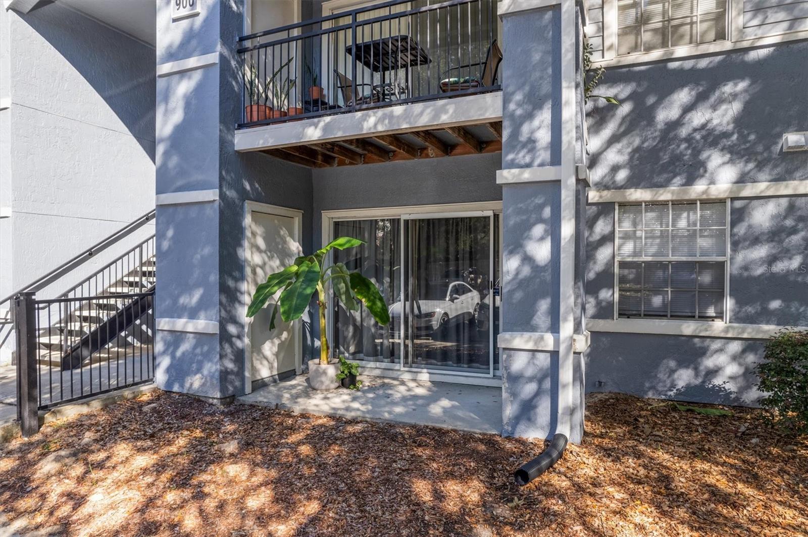 WINDSOR PARK AT GAINESVIL - Residential