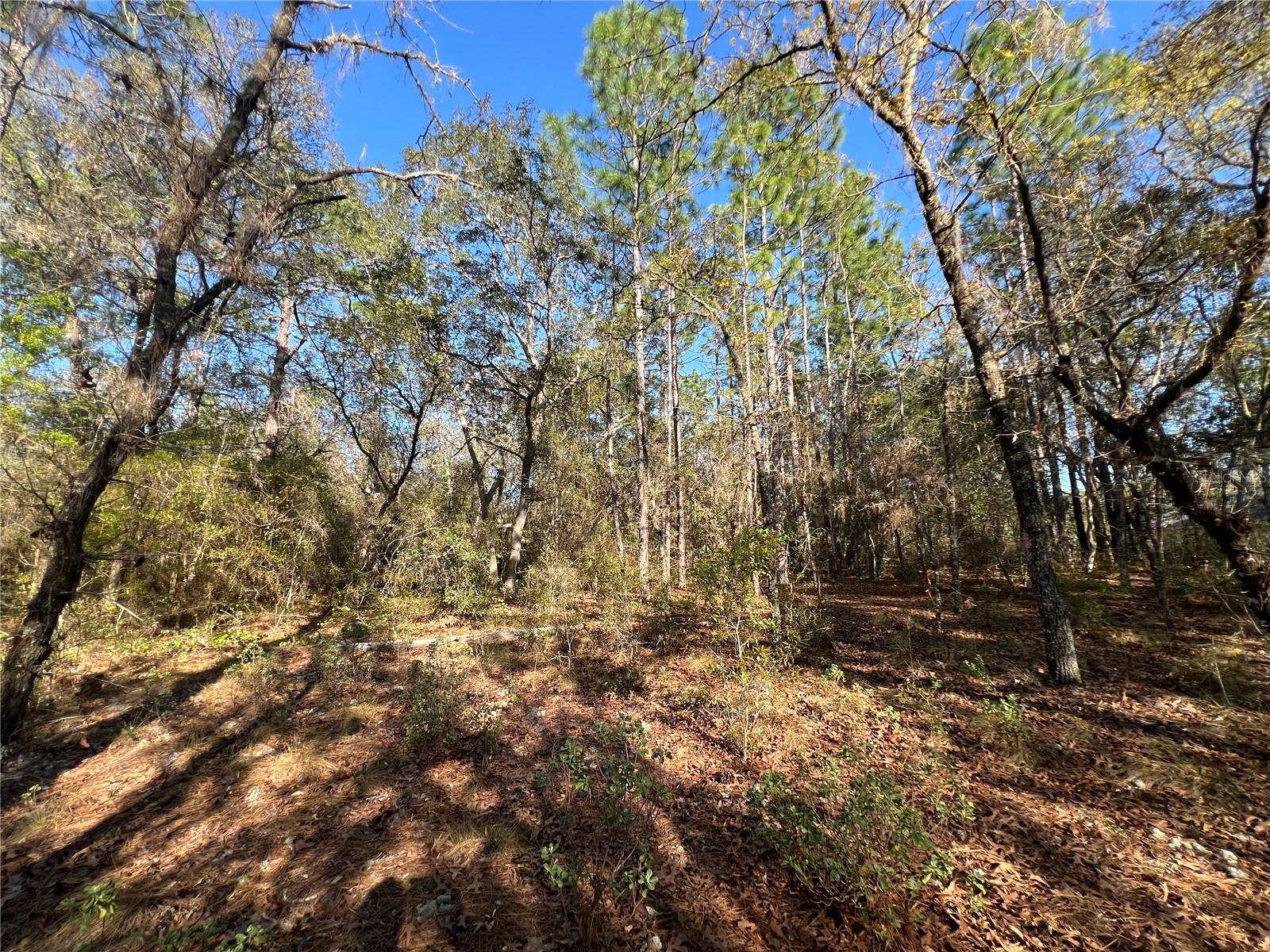 3968 N INDIANHEAD ROAD