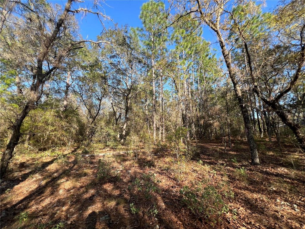 Photo of 3968 N Indianhead Road, Hernando, FL 34442 (MLS # TB8490146)