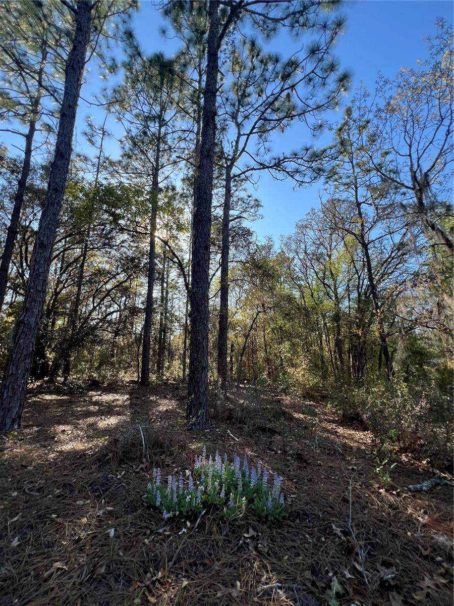 3968 N INDIANHEAD ROAD