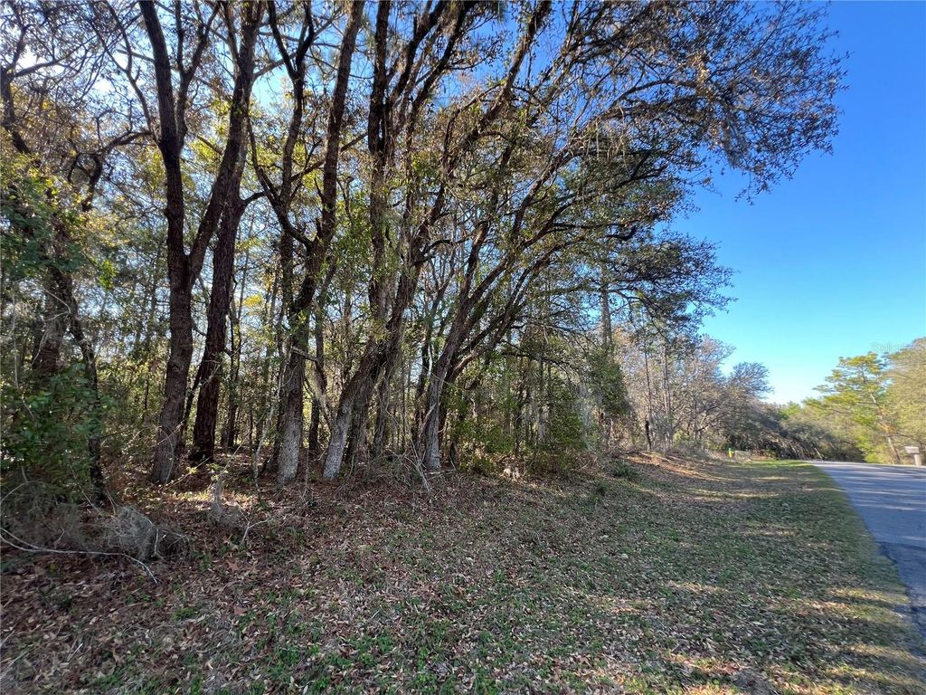 Photo of 3968 N Indianhead Road, Hernando, FL 34442 (MLS # TB8490146)