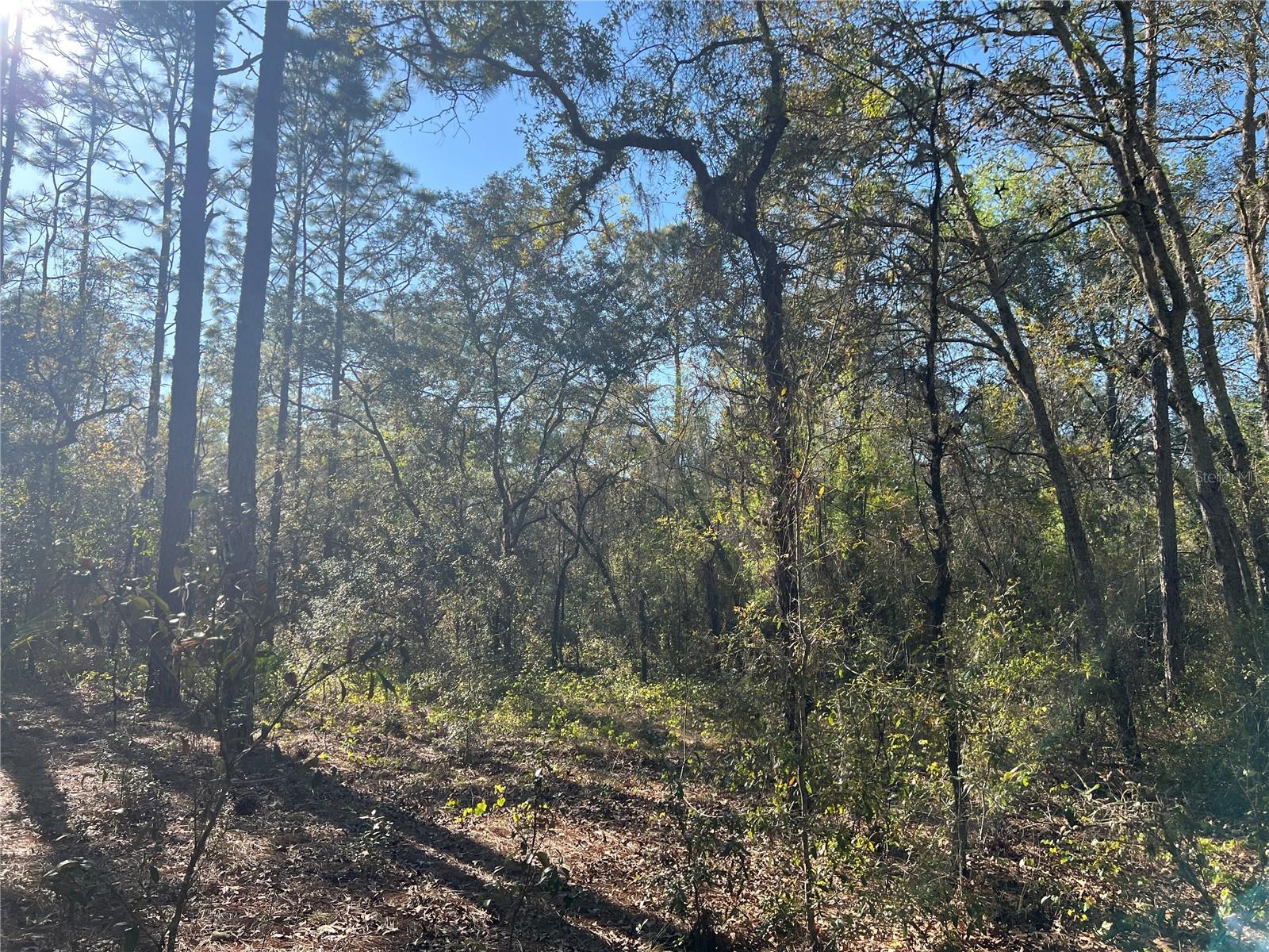 3968 N INDIANHEAD ROAD