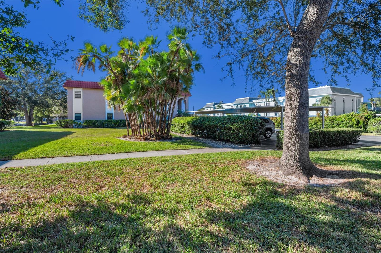 BEL-FOREST MANOR CONDO - Residential