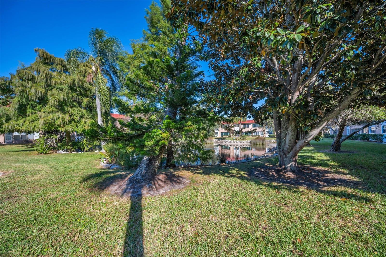 BEL-FOREST MANOR CONDO - Residential