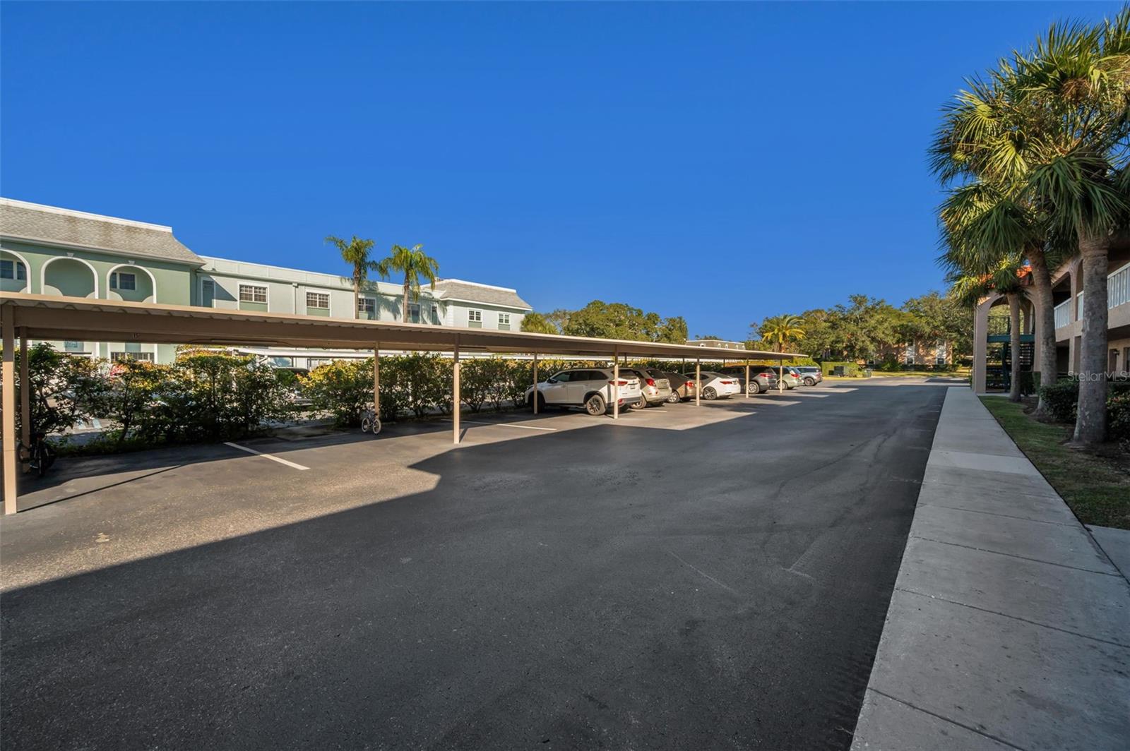 BEL-FOREST MANOR CONDO - Residential