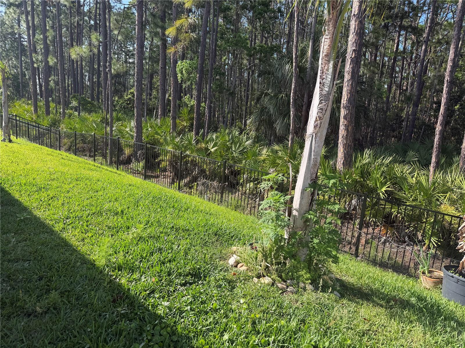 FOUNTAIN VIEW PH 1A - Residential