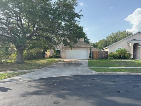 1133 OLYMPIC COURT APOPKA FL 32712