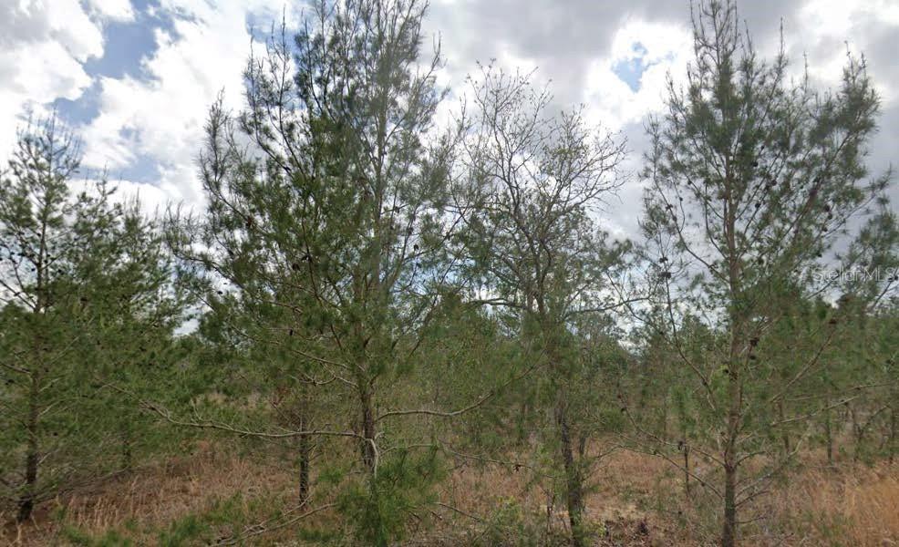 TROUT LAKE MANOR - Land