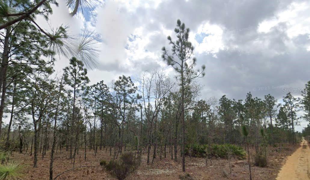 TROUT LAKE MANOR - Land