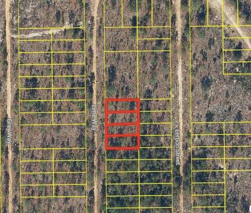 TROUT LAKE MANOR - Land