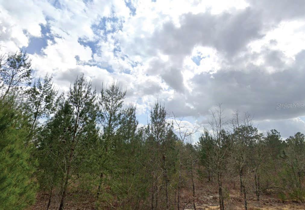 TROUT LAKE MANOR - Land