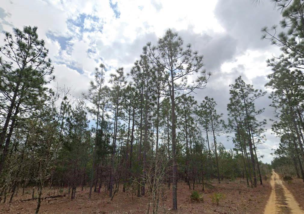 Great opportunity to own four adjoining lots in Interlachen, FL. These 4 parcels (Lots 9–12,) provide ample space for your future home site or investment project. Located in a peaceful, rural setting, the property offers privacy while still being just a short drive to local amenities, schools, and recreation. Zoned for residential use, this is an excellent chance to secure affordable land in growing Putnam County. All information is deemed reliable but should be independently verified.