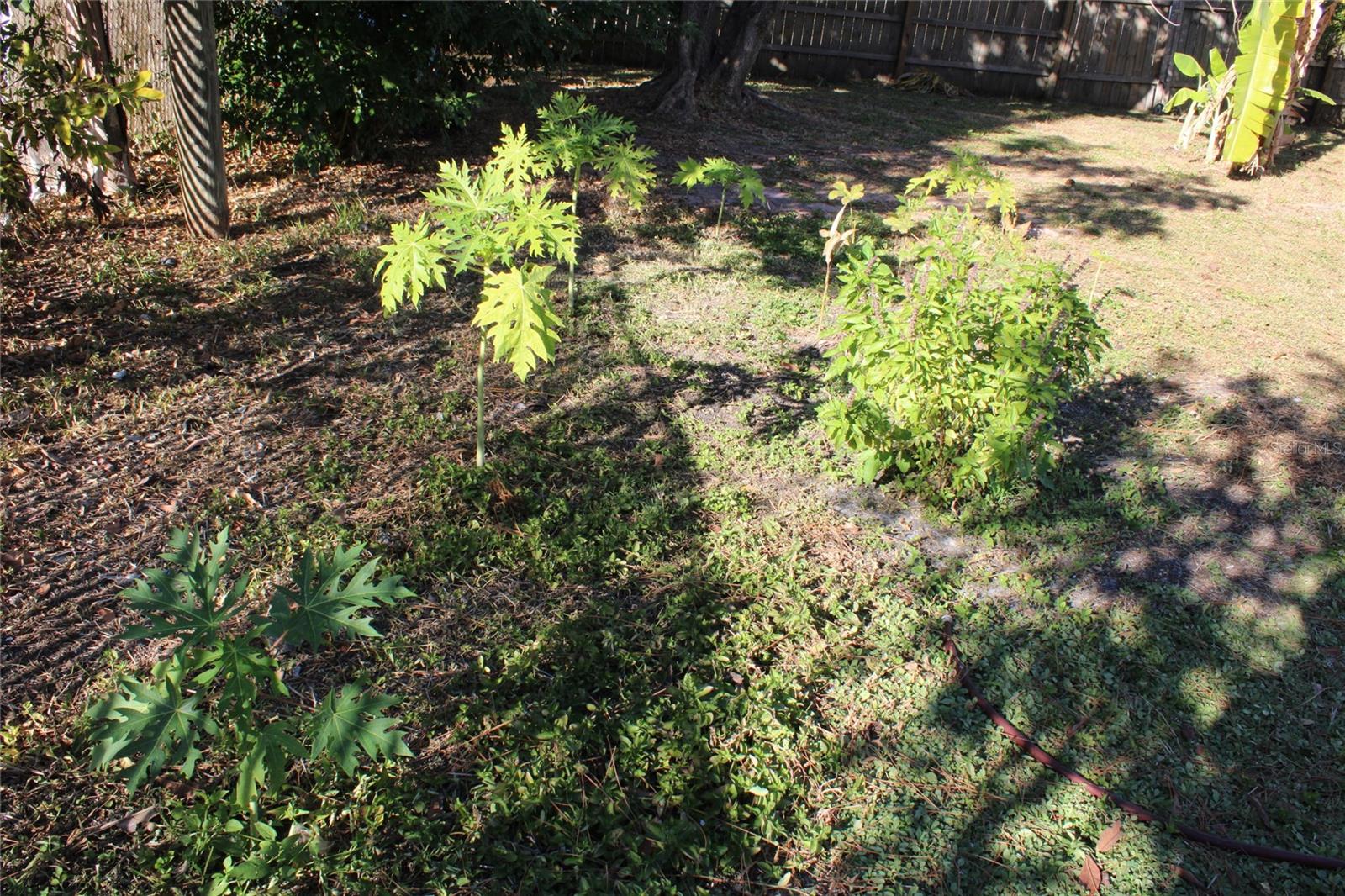 PINELLAS FARMS - Residential