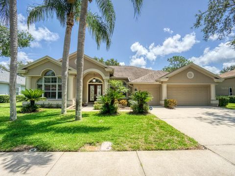 4335 CLAIRIDGE WAY PALM HARBOR FL 34685