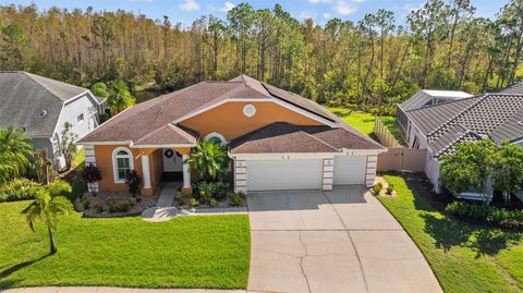 A home in TAMPA