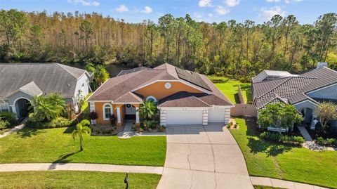 A home in TAMPA