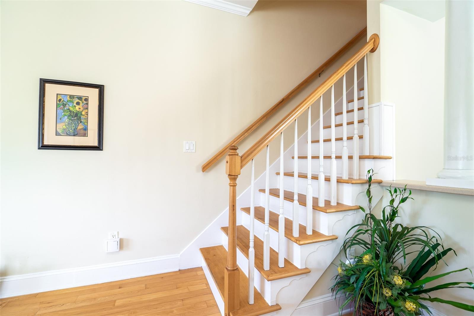 ILEXHURST - Residential Income