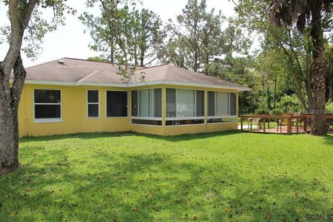 A home in PALM COAST