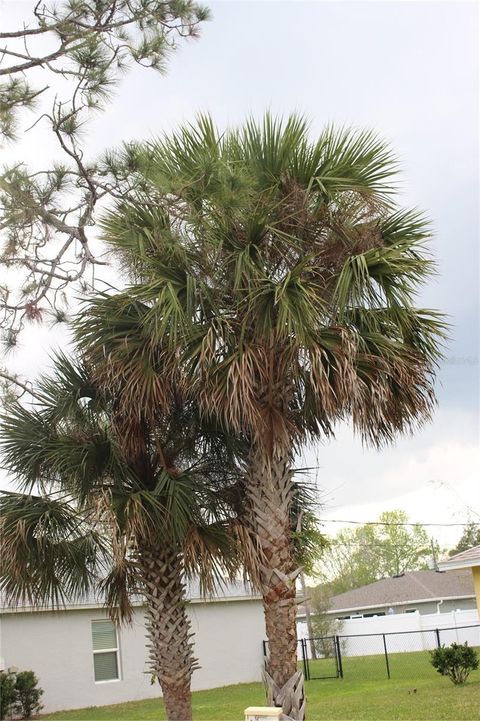 A home in PALM COAST