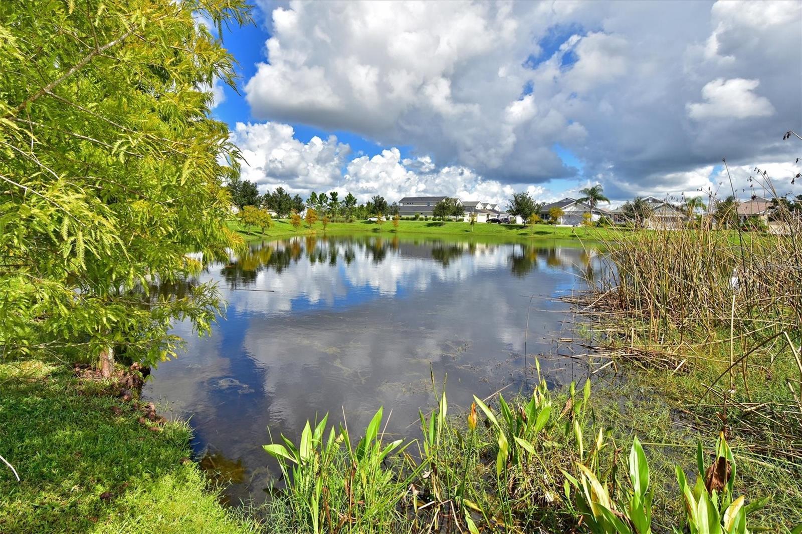 WOODBROOK - Residential