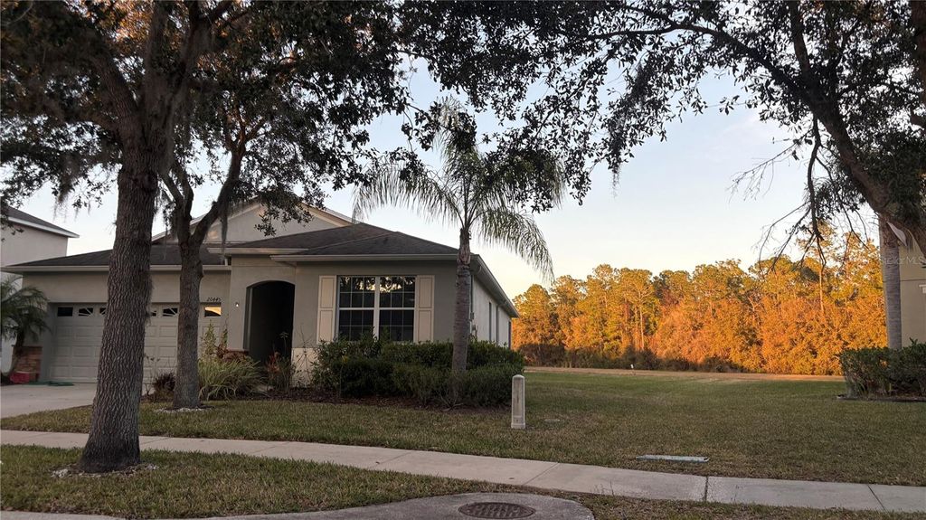 Photo of 20445 Autumn Fern Avenue, Tampa, FL 33647 (MLS # TB8470148)