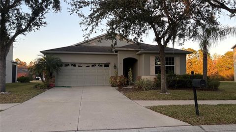 Photo of 20445 Autumn Fern Avenue, Tampa, FL 33647 (MLS # TB8470148)