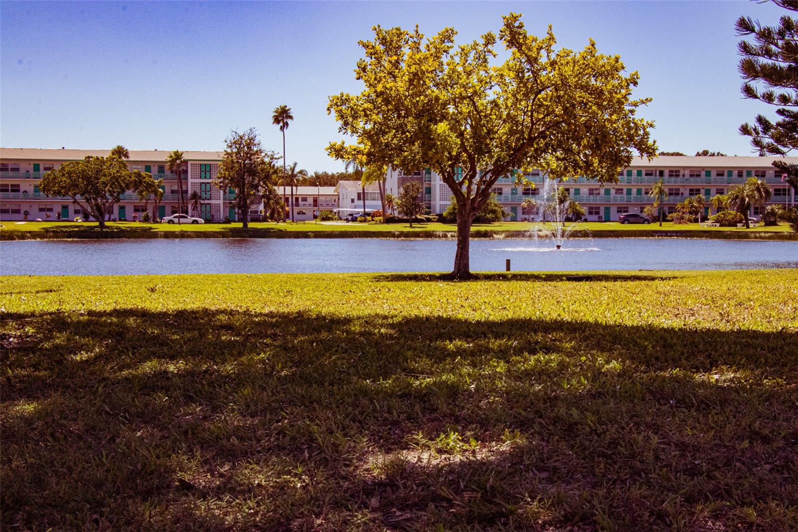 TOWN APTS CONDO - Residential