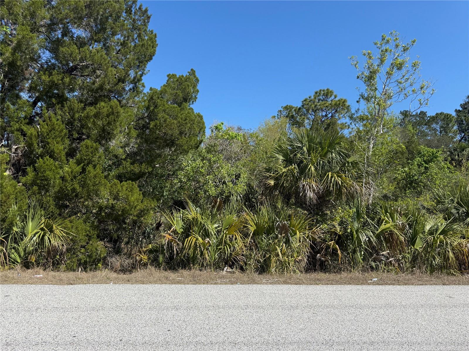 This property is minutes away from all the amenities including Weeki Wachee Springs, dining, entertainment, fishing and so much more. Immediate access to US Hwy 19 and a short drive to the Suncoast Pkwy for an easy commute. The adjoining property is also for sale. You can find the listing at MKS #TB8361577. That is a total of 3.6 acres together. You can build single family dwellings on these properties. Buyer and buyers agent will need to confirm zoning and restrictions with Hernando County. Are you ready to build and design your own dream property? This can be the perfect opportunity for you to build your own dream!