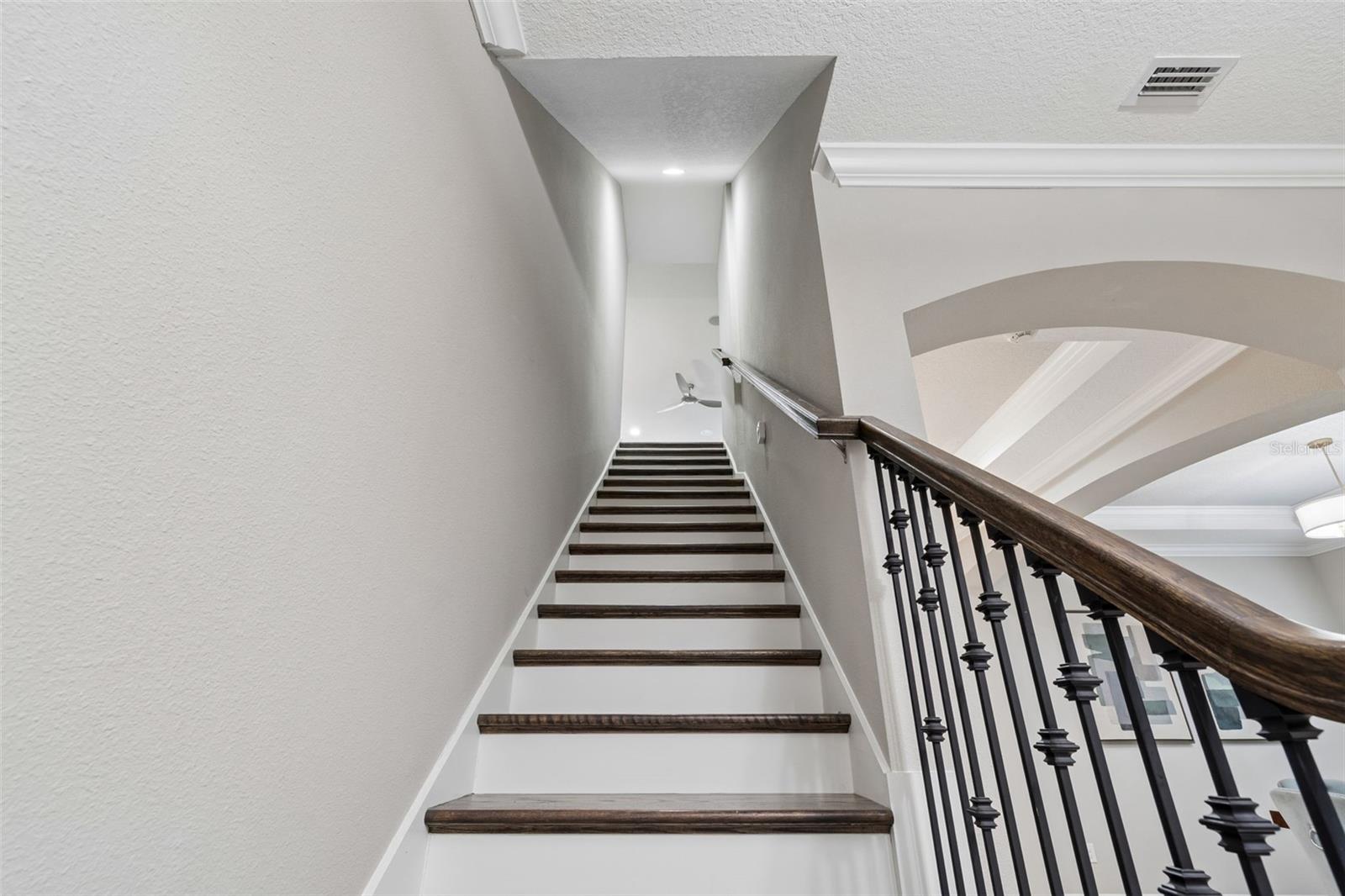 ESPLANADE OF TAMPA PH 1 - Residential
