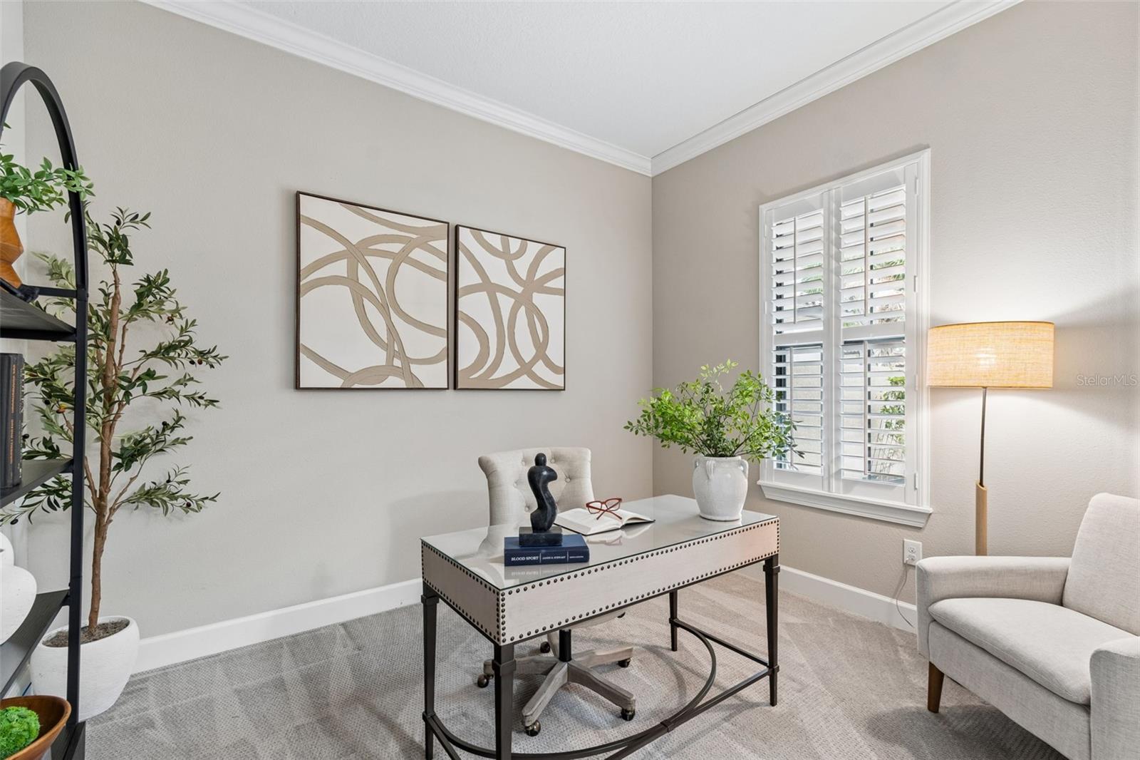 ESPLANADE OF TAMPA PH 1 - Residential