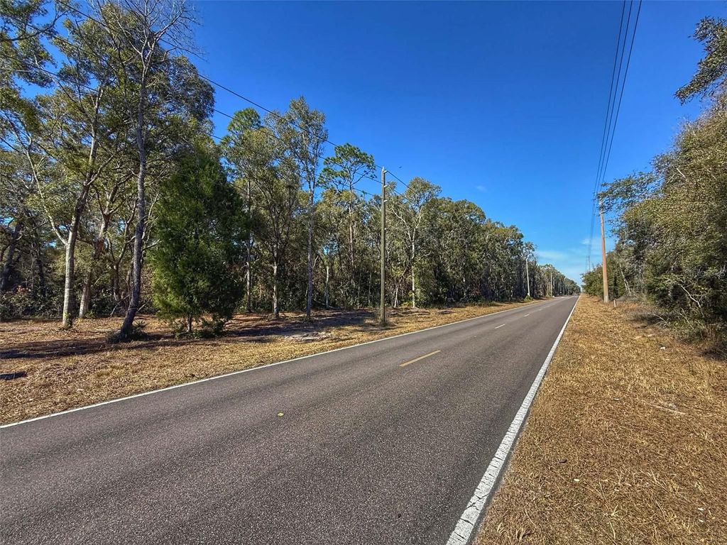 Photo of NW Old Fanning Road, Trenton, FL 32693 (MLS # GC537226)