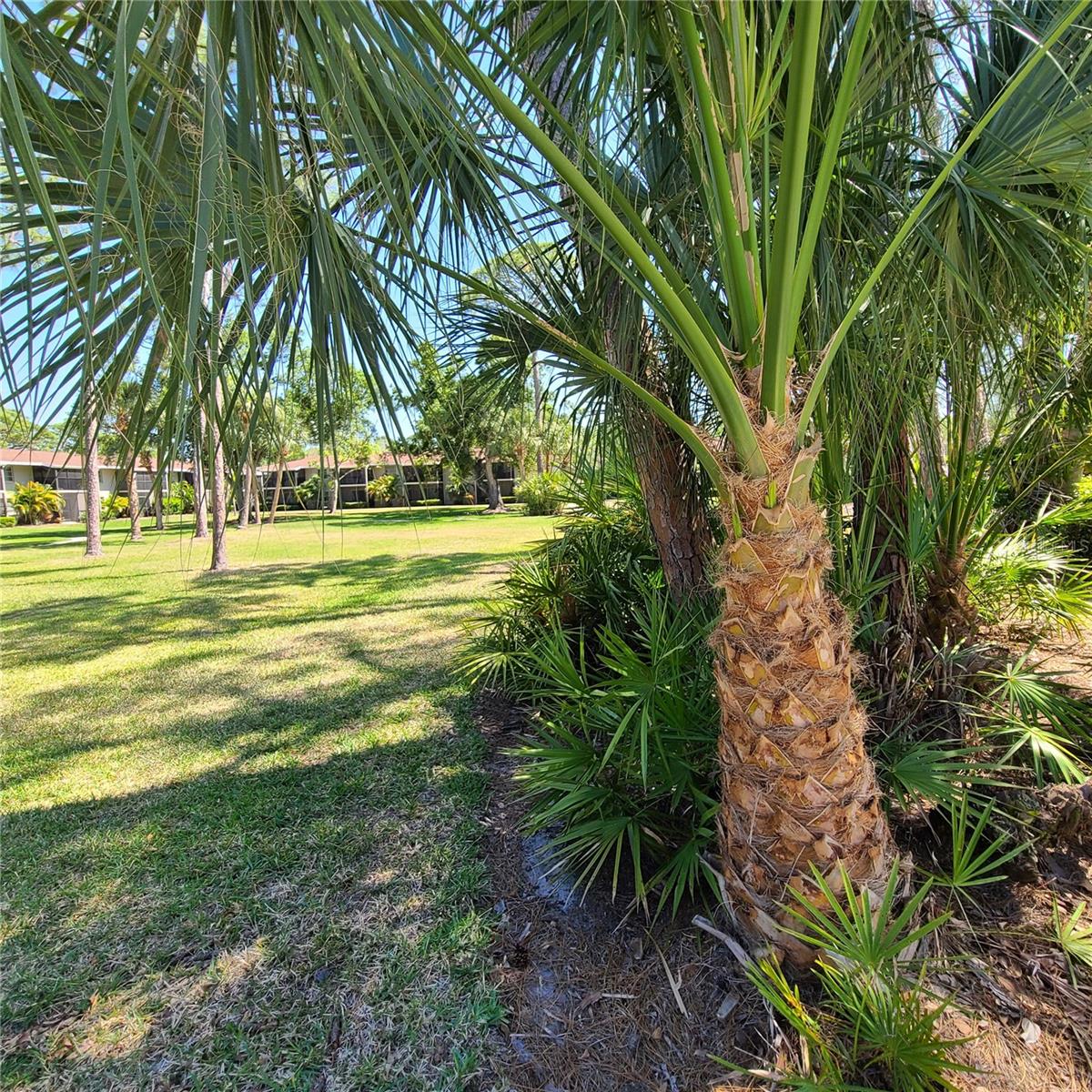 PARK VIEW - Residential Lease