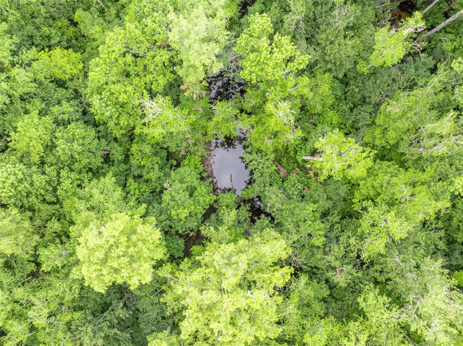 SEAWARD PLANTATION ESTATES SECOND ADD - Residential