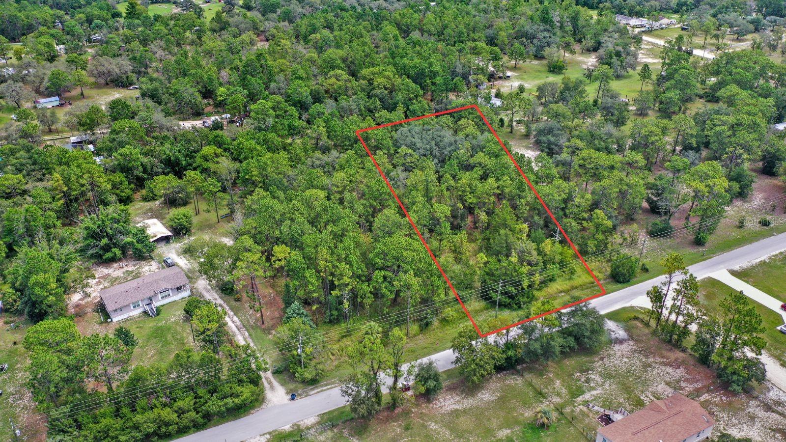 Build Your Dream Home on This Beautiful 1.3-Acre Homesite with Paved Road Access!
No flood insurance needed, and best of all — NO HOA or CDD fees! Bring all your toys — ATVs, boats, trucks, campers, and RVs — there's room for everything. The property allows for both single-family homes and mobile homes, giving you the flexibility to create the lifestyle you want. Conveniently located just minutes from shopping, dining, hospitals, the Weeki Wachee River, boat ramps, beaches, and more. Plus, quick access to 589 makes commuting to Tampa a breeze. Endless potential, unbeatable location — don’t miss your chance to own a slice of Florida freedom!