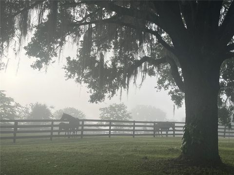 Tiny photo for 8001 SE 7th Avenue Road, Ocala, FL 34480 (MLS # OM709421)