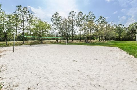 A home in WESLEY CHAPEL