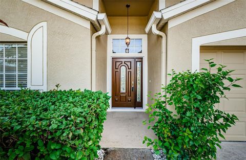 A home in WESLEY CHAPEL