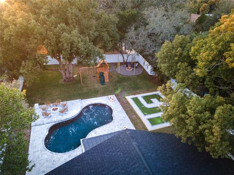 A home in PALM HARBOR